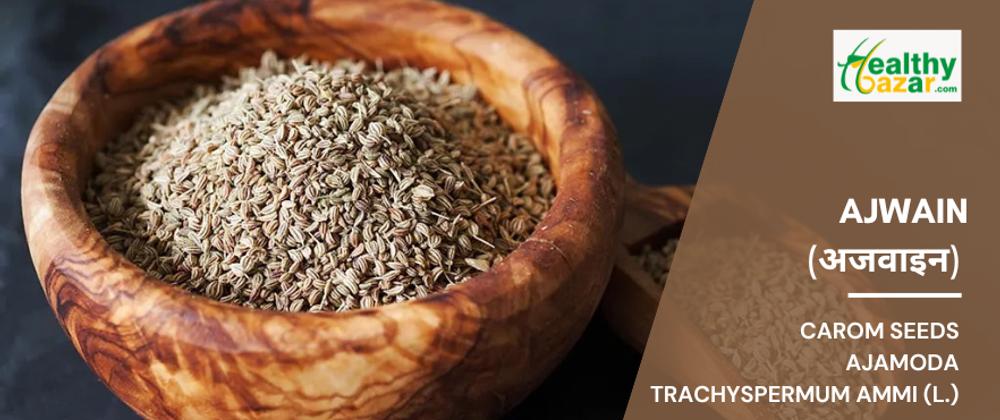 Ajwain (Trachyspermum ammi) - The Potent Digestive Seed