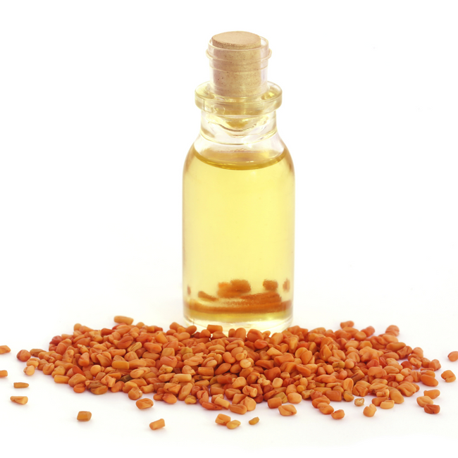 Fenugreek Essential Oil